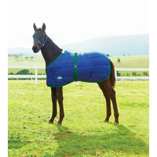 WeatherBeeta 420D Foal Standard Neck Turnout Medium