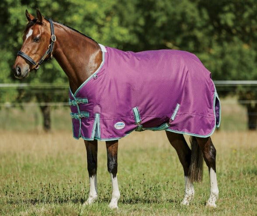 Weatherbeeta Comfitec Premier Freedom PONY Standard Neck Turnout Lite CLOSEOUT