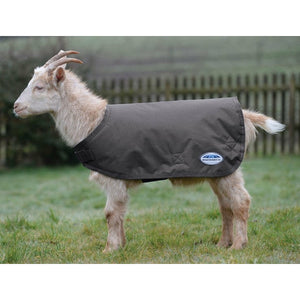 Weatherbeeta Goat Coat