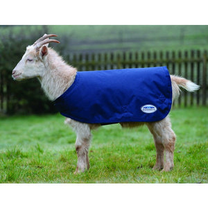 Weatherbeeta Goat Coat