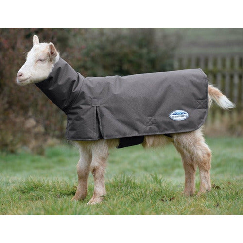Weatherbeeta Goat Coat with Neck CLOSEOUT