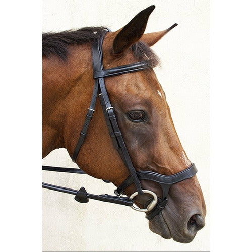 Nunn Finer Innovativo English Bridle