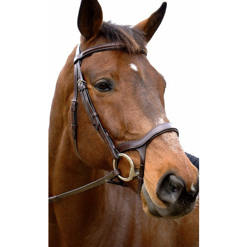 Nunn Finer Innovativo English Bridle