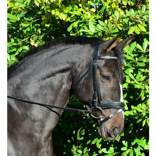 Black Oak by KL Select Larkspur Dressage Bridle - CarouselHorseTack.com