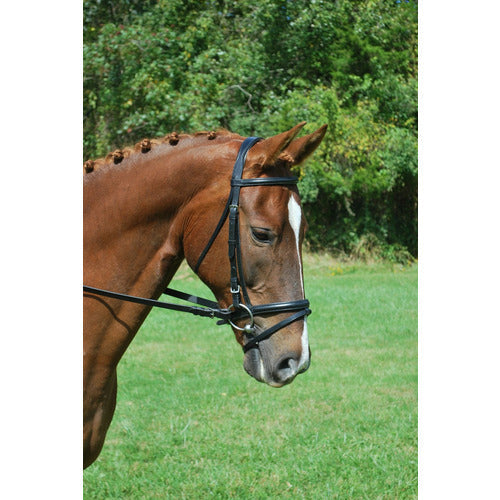 KL Select Red Barn Levade Noseband