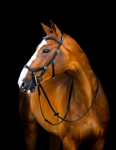 Horseware Micklem 2 Deluxe Competition Bridle with Reins CLOSEOUT