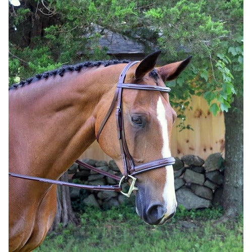 KL Select KL Italia Middleburg Hunter Bridle