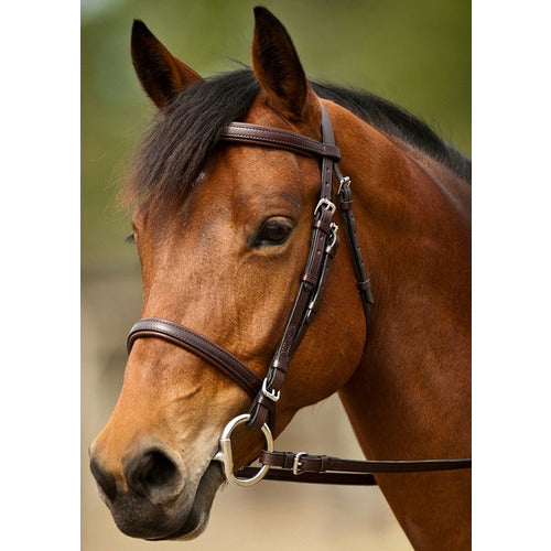 Nunn Finer Event Bridle