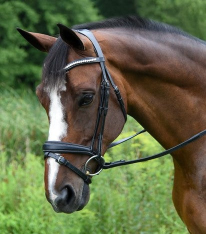 KL Select Red Barn Pace Dressage Bridle-CLOSEOUT