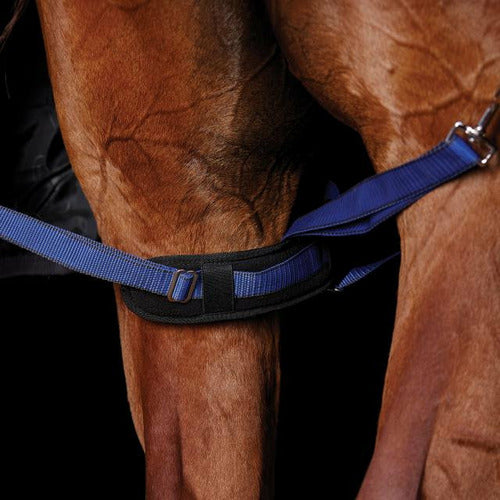 Weatherbeeta Padded Leg Strap - CarouselHorseTack.com