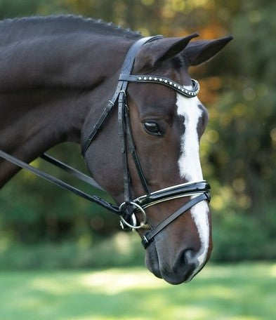 KL Select Red Barn Stride Dressage Bridle