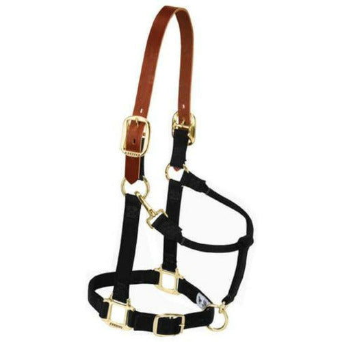 Weaver Breakaway Original Adjustable Chin and Throat Snap Halter, 1" - CarouselHorseTack.com