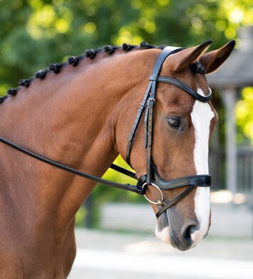KL Select Black Oak Palm Ergonomic Dressage Bridle-CLOSEOUT