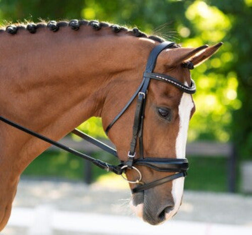 KL Select Red Barn Topline Weymouth Bridle