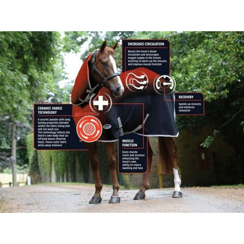 WeatherBeeta ComFiTec Premier with Therapy-Tec Detach-A-Neck Medium Turnout CLOSEOUT