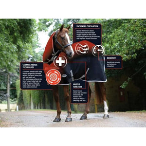 WeatherBeeta ComFiTec Premier with Therapy-Tec Detach-A-Neck Medium Turnout CLOSEOUT