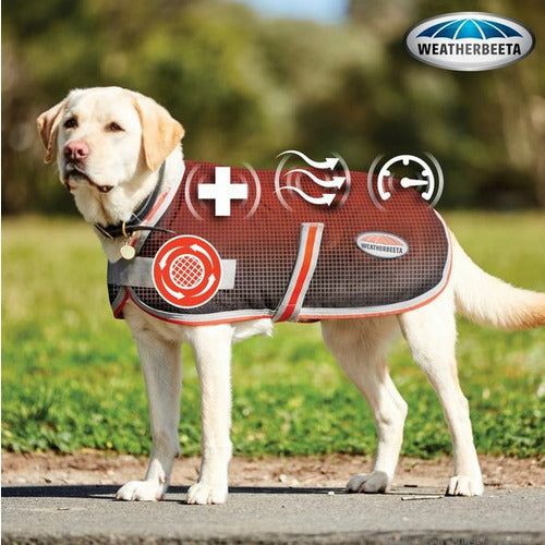 WeatherBeeta 1200D Therapy-Tec Dog Coat FREE GIFT - CLOSEOUT