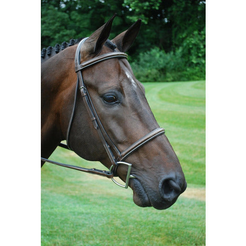 KL Select KL Italia Venezia Hunter Bridle