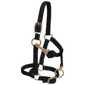 Weaver Miniature Horse Adjustable Chin and Throat Snap Halter, 5/8" - CarouselHorseTack.com