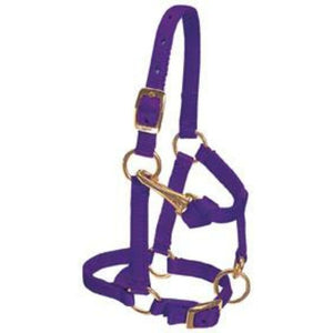 Weaver Miniature Horse Adjustable Chin and Throat Snap Halter, 5/8" - CarouselHorseTack.com