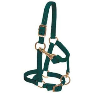 Weaver Miniature Horse Adjustable Chin and Throat Snap Halter, 5/8" - CarouselHorseTack.com